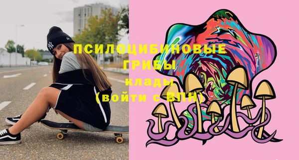 СК Магадан