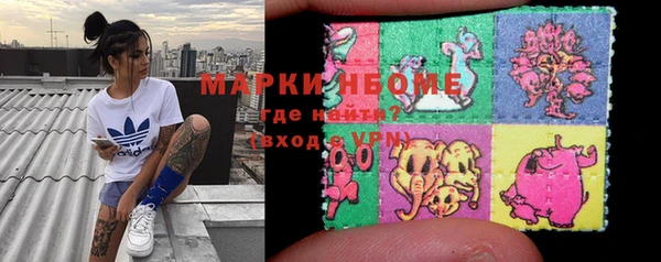 твердый Медногорск