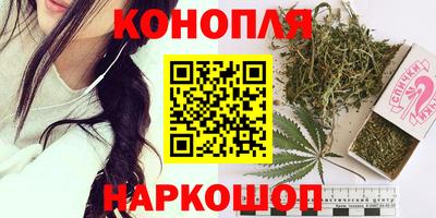 сатива Нальчик