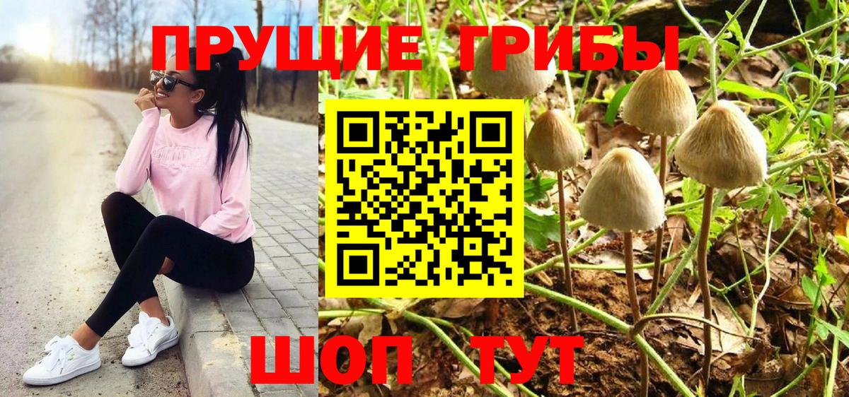 Тында  Галлюциногенные грибы мухоморы  Вход с VPN  продажа наркотиков  Псилоцибиновые грибы ЛСД 