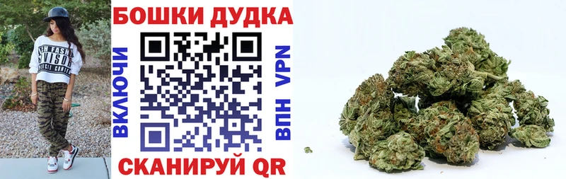 Конопля Amnesia  Тында 